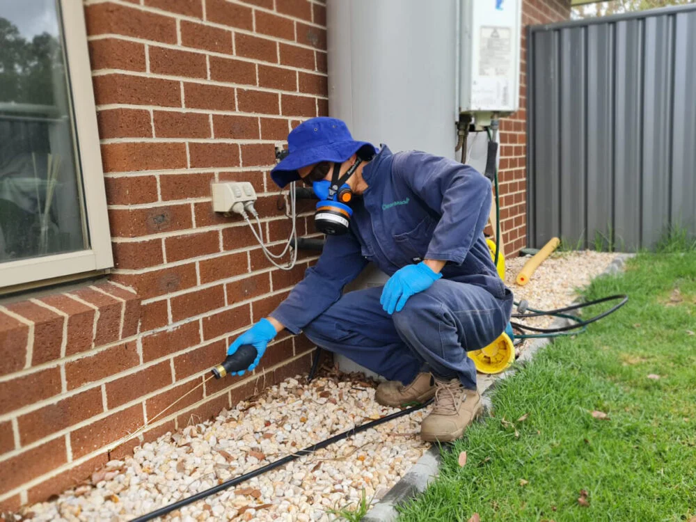 jasa pest control bergaransi insekta