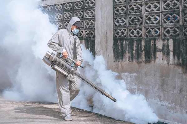 jasa fogging pembasmi nyamuk insekta