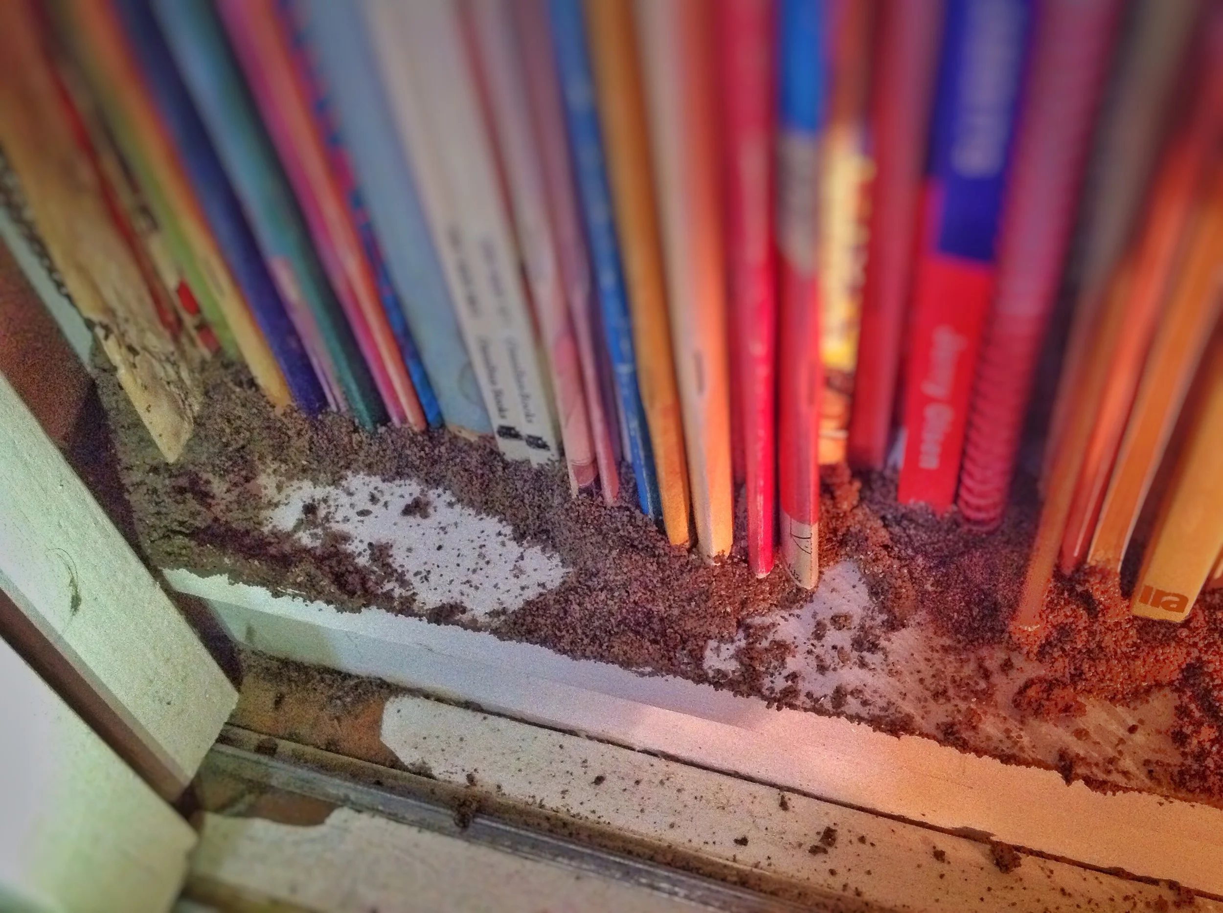 Cara Merawat Buku Agar Bebas Rayap dan Tetap Awet 