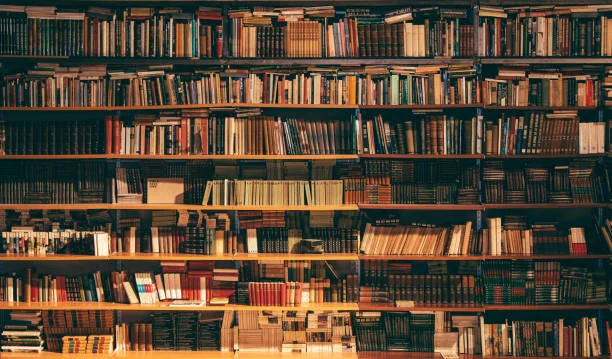 Cara Merawat Buku Agar Bebas Rayap dan Tetap Awet 