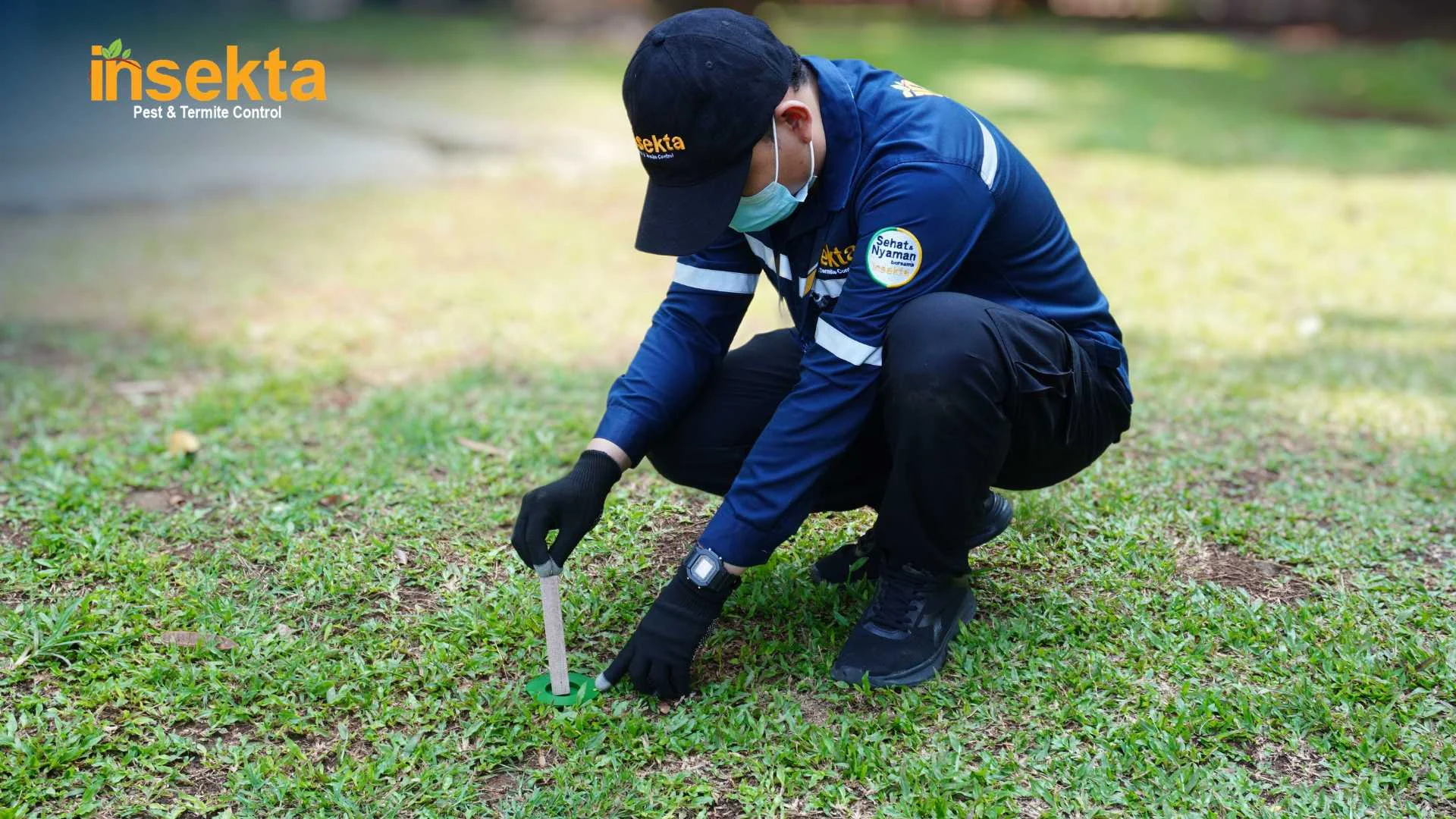 jasa anti rayap bogor insekta