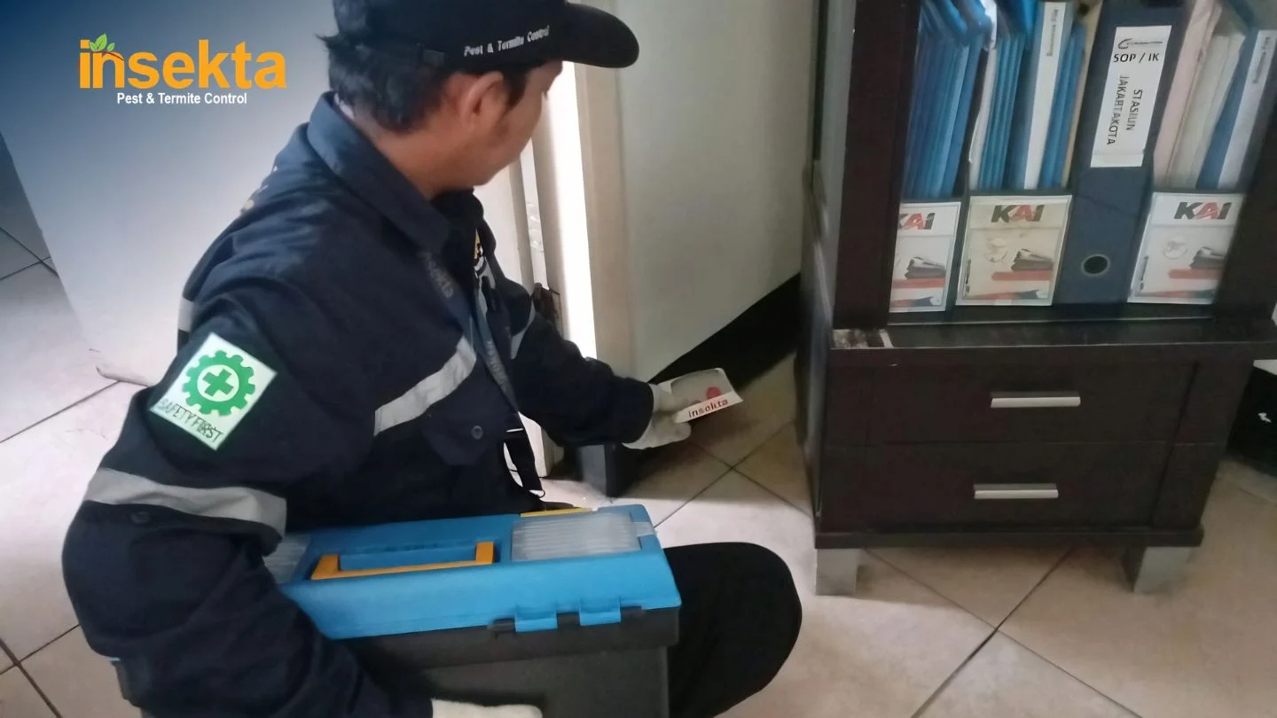Jasa Pembasmi Tikus Jakarta Timur