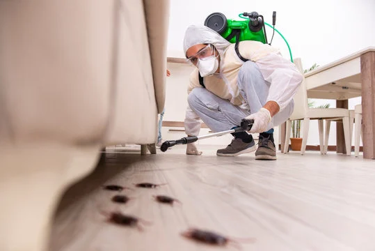 kelebihan pest control dibanding diy