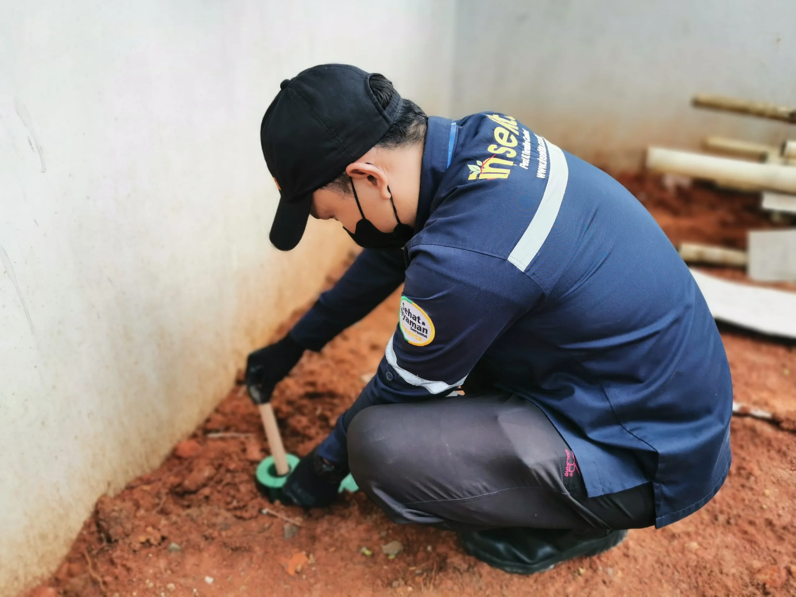jasa pembasmi rayap insekta
