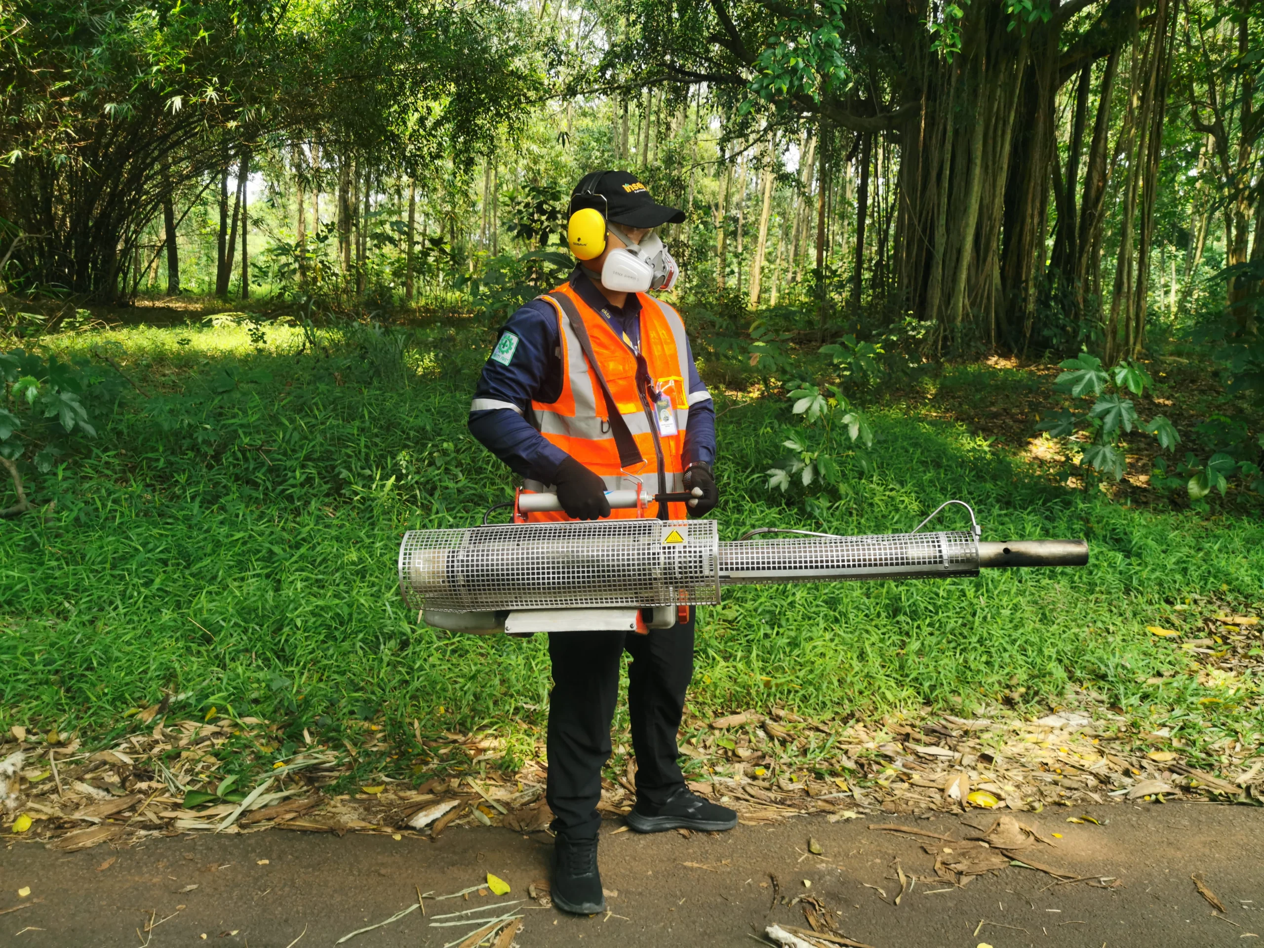 jasa pest control profesional