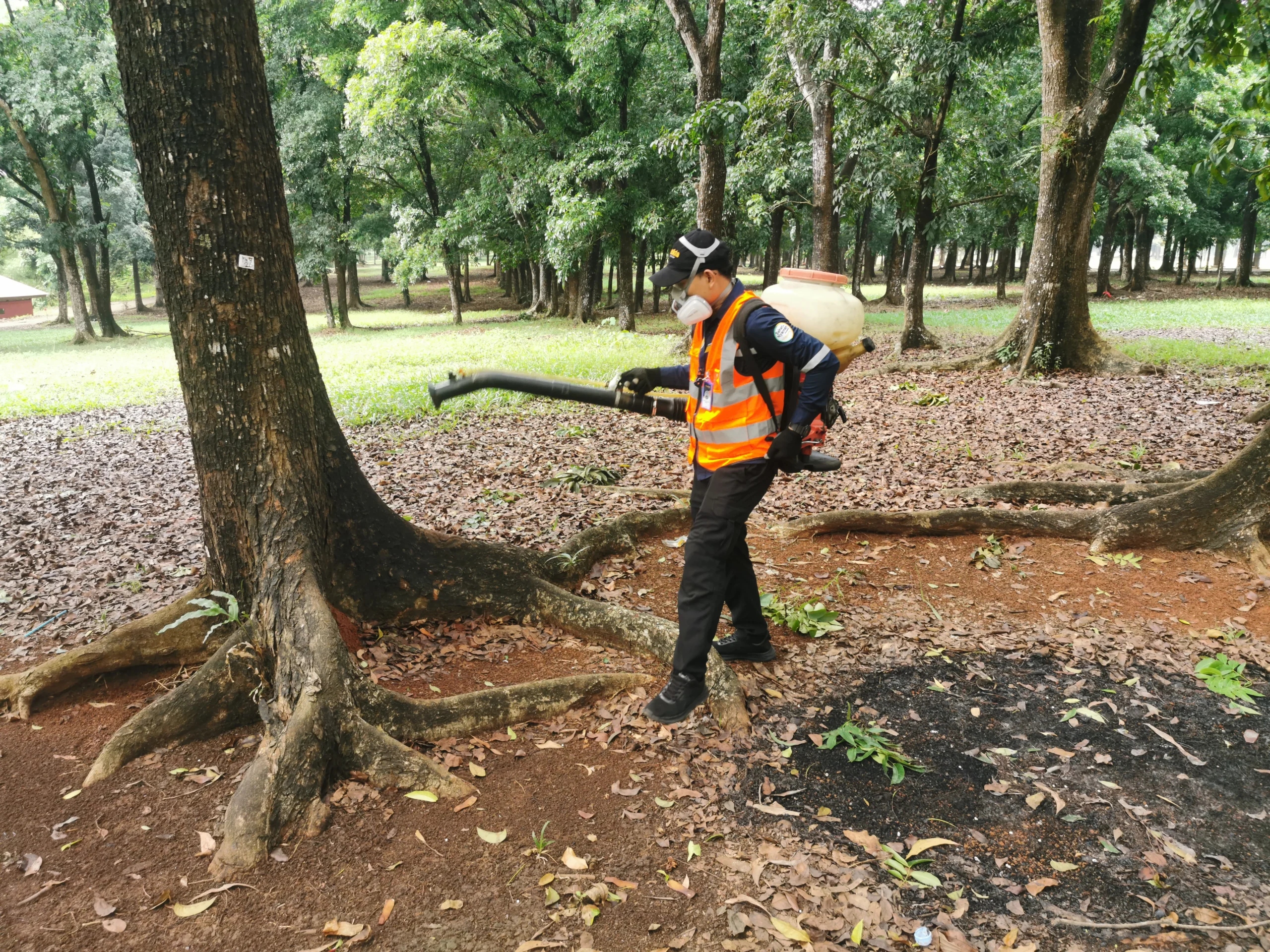 daftar industri dan fasilitas yang butuh jasa pest control
