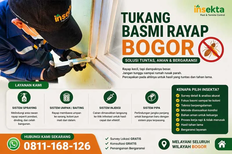 Tukang Basmi Rayap Bogor