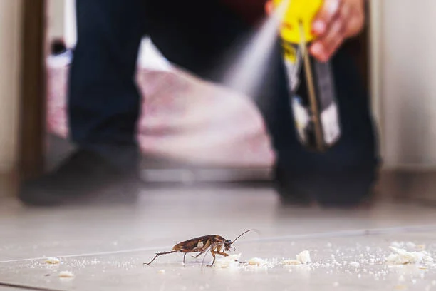 kelebihan pest control dibanding diy