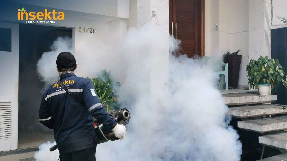 jasa basmi nyamuk bogor