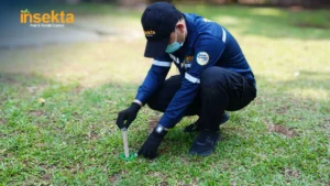 jasa pest control