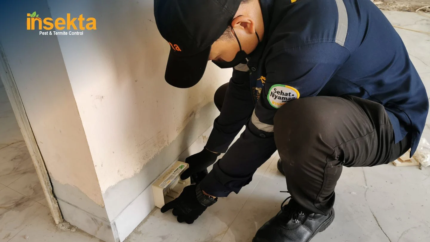 jasa anti rayap rumah murah insekta