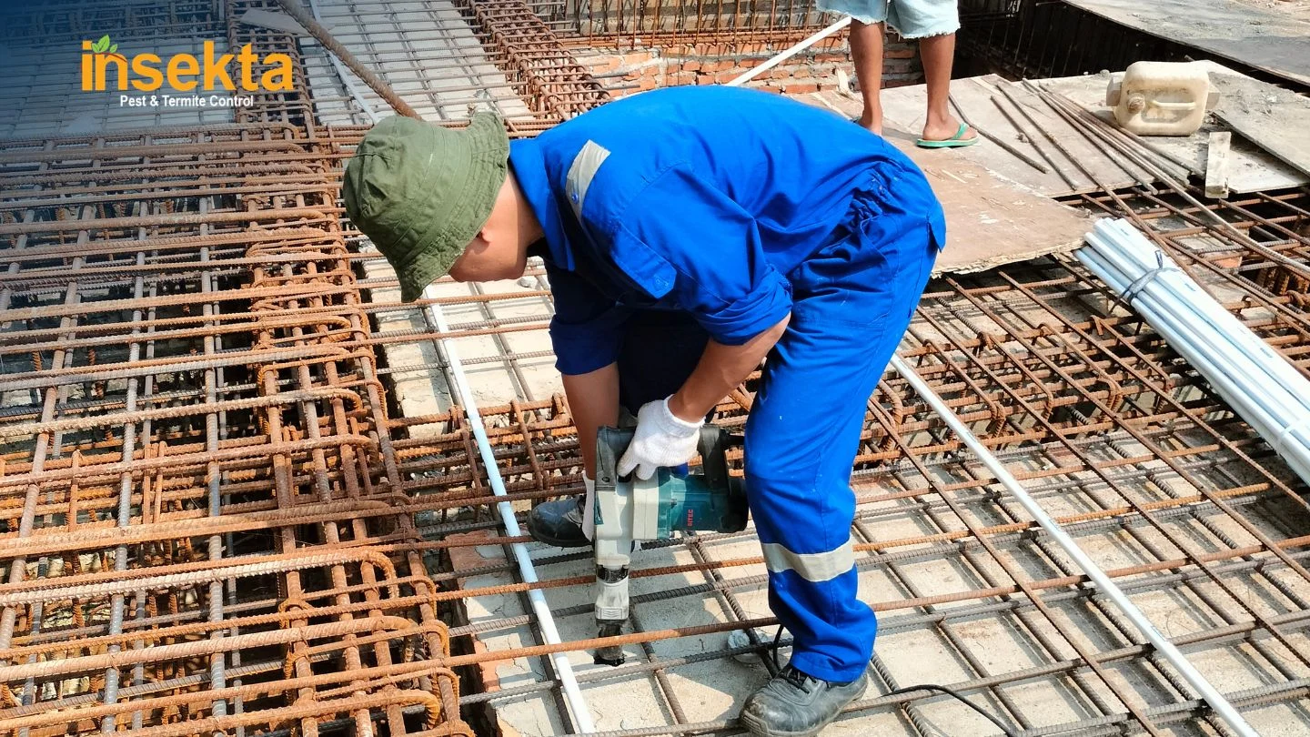 jasa anti rayap rumah murah insekta