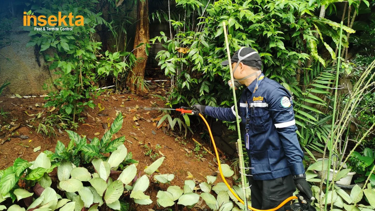 jasa pest control