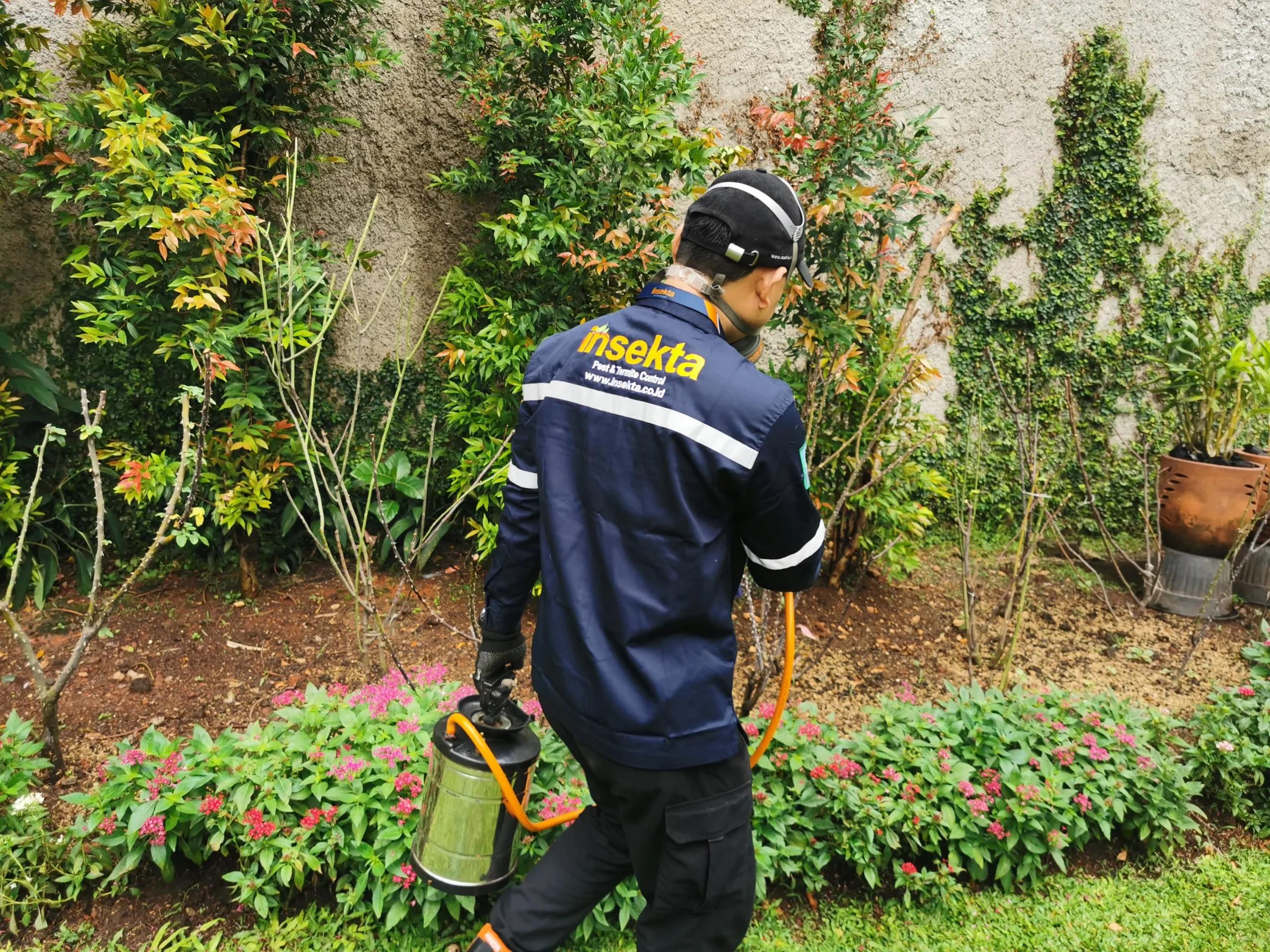jasa pest control jakarta timur