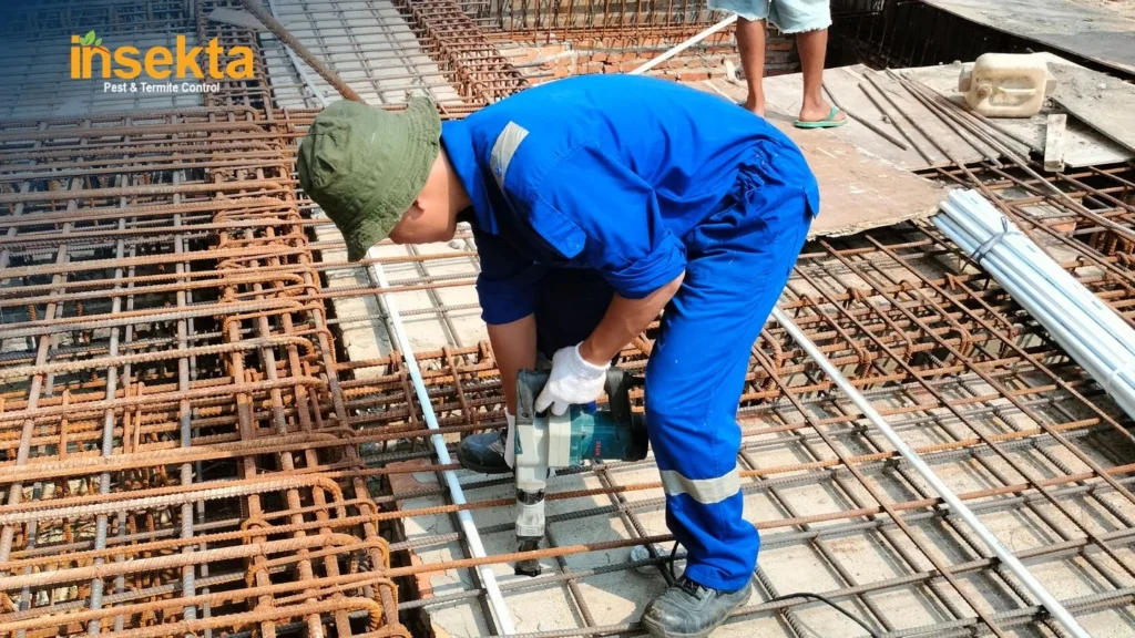 Tukang Basmi Rayap Bogor
