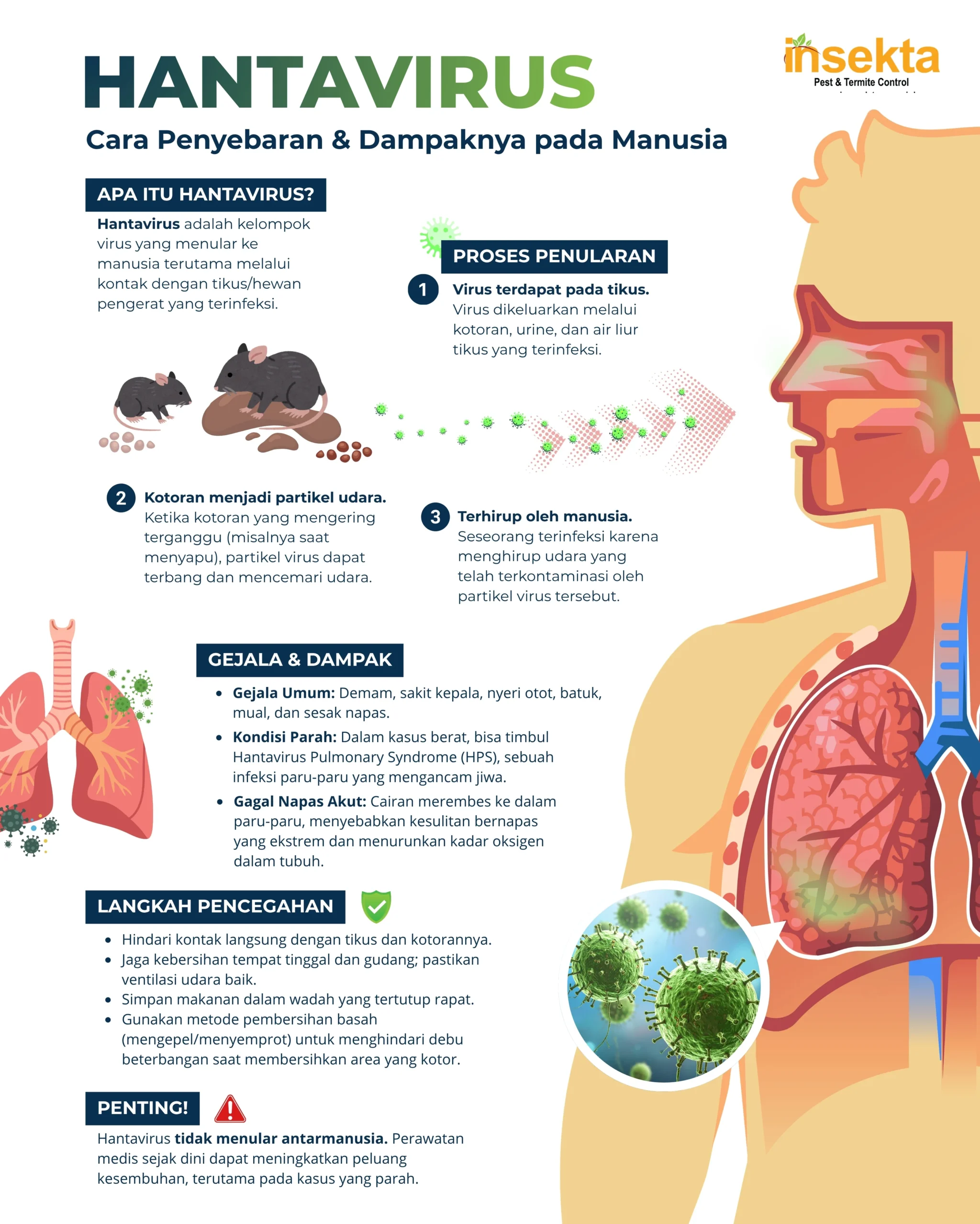 hantavirus