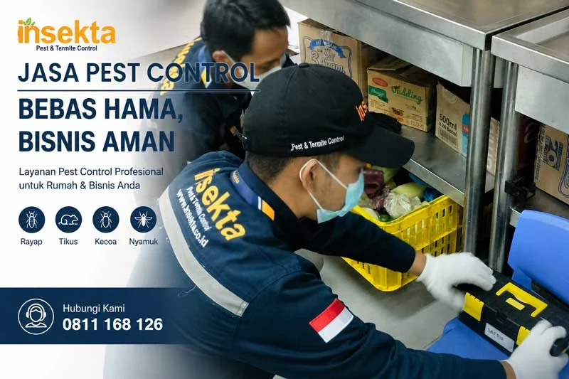 Jasa Pest Control Terbaik