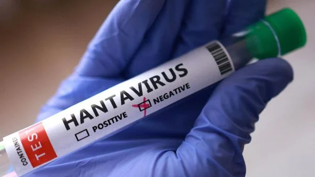 hantavirus menular lewat mana?