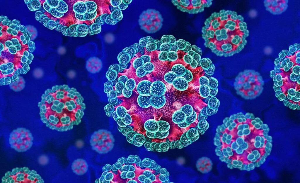 hantavirus menular lewat mana? 