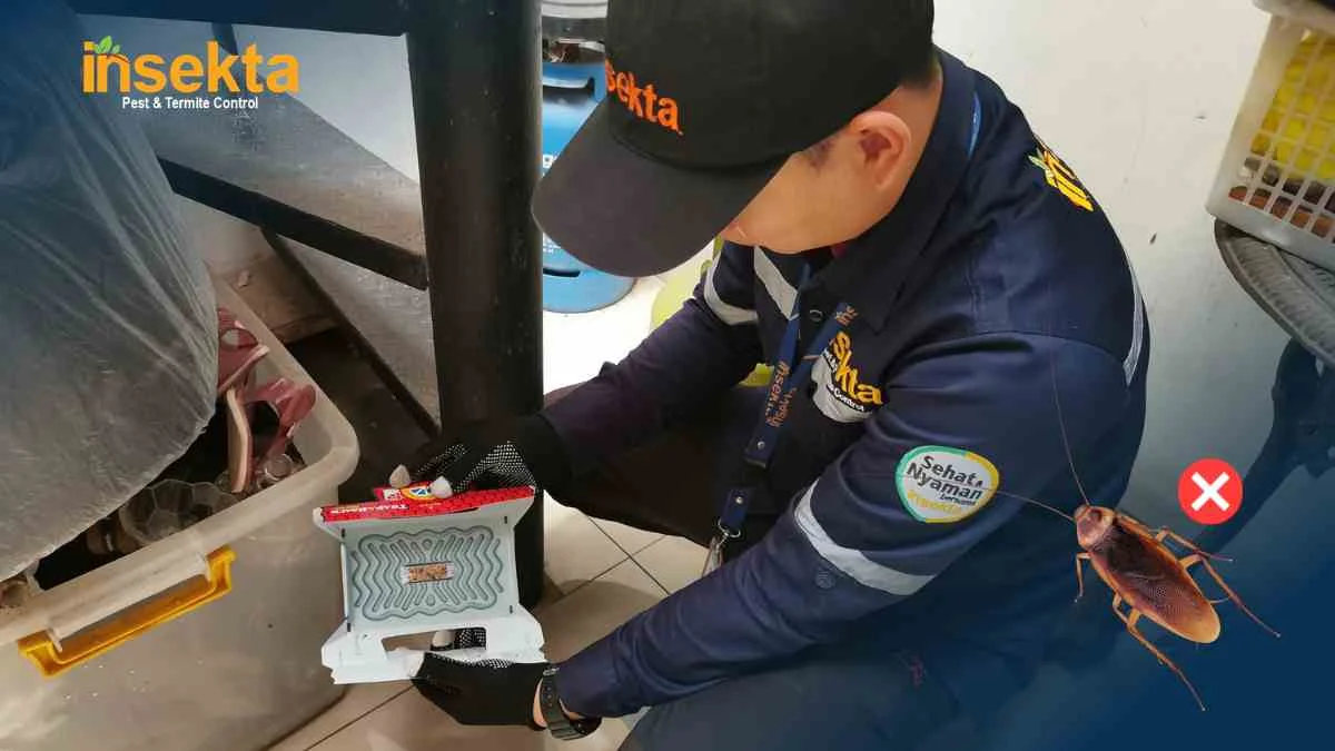 harga jasa pest control