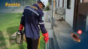 harga jasa pest control