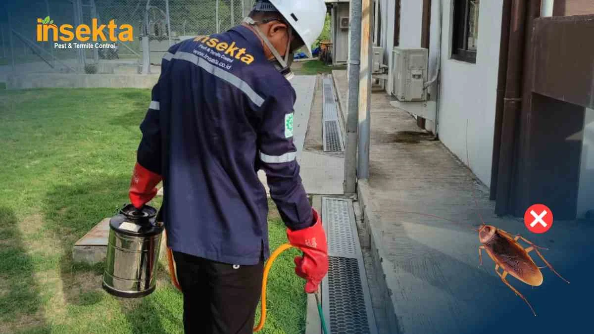 harga jasa pest control