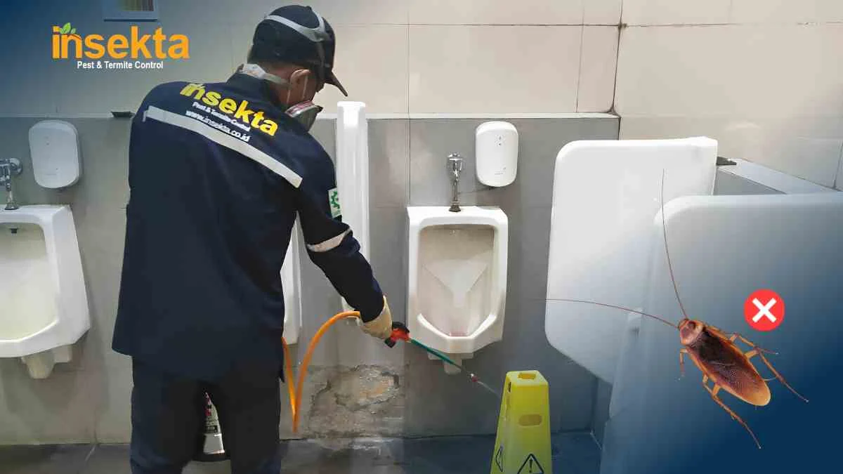 jasa basmi kecoa profesional