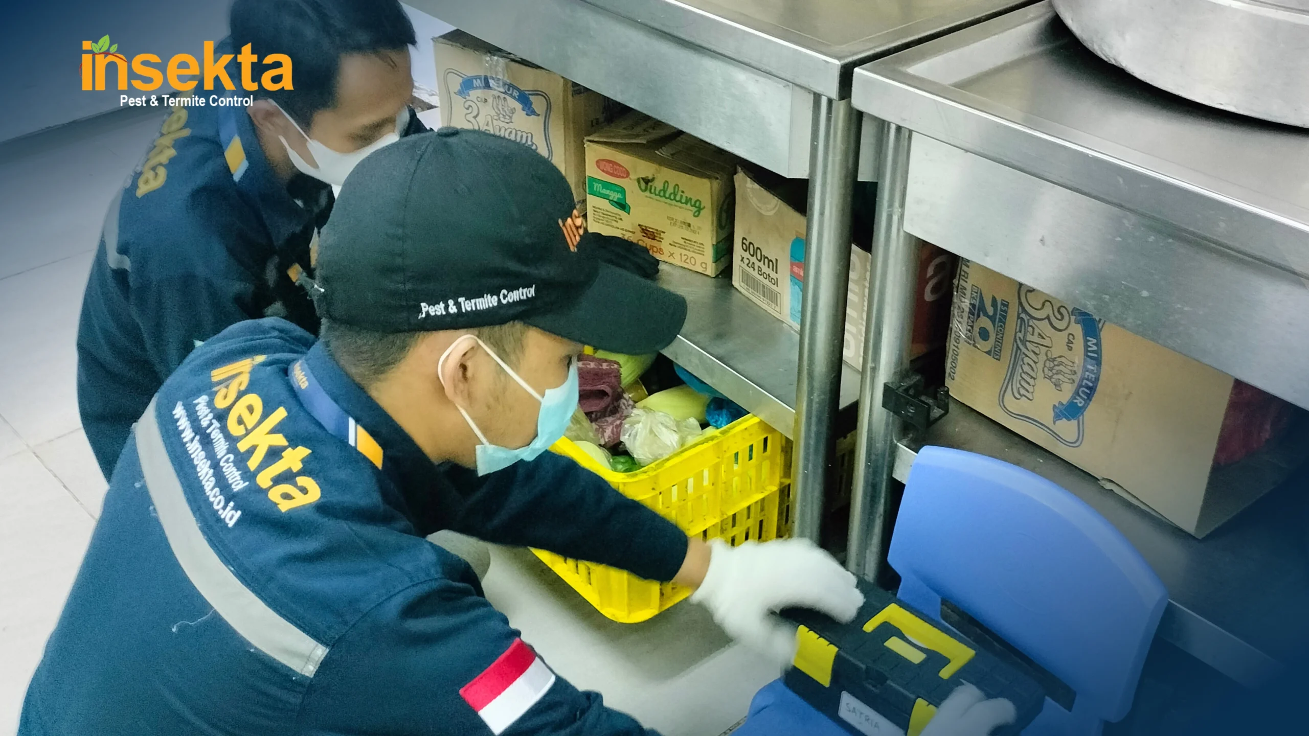 jasa pest control kapal