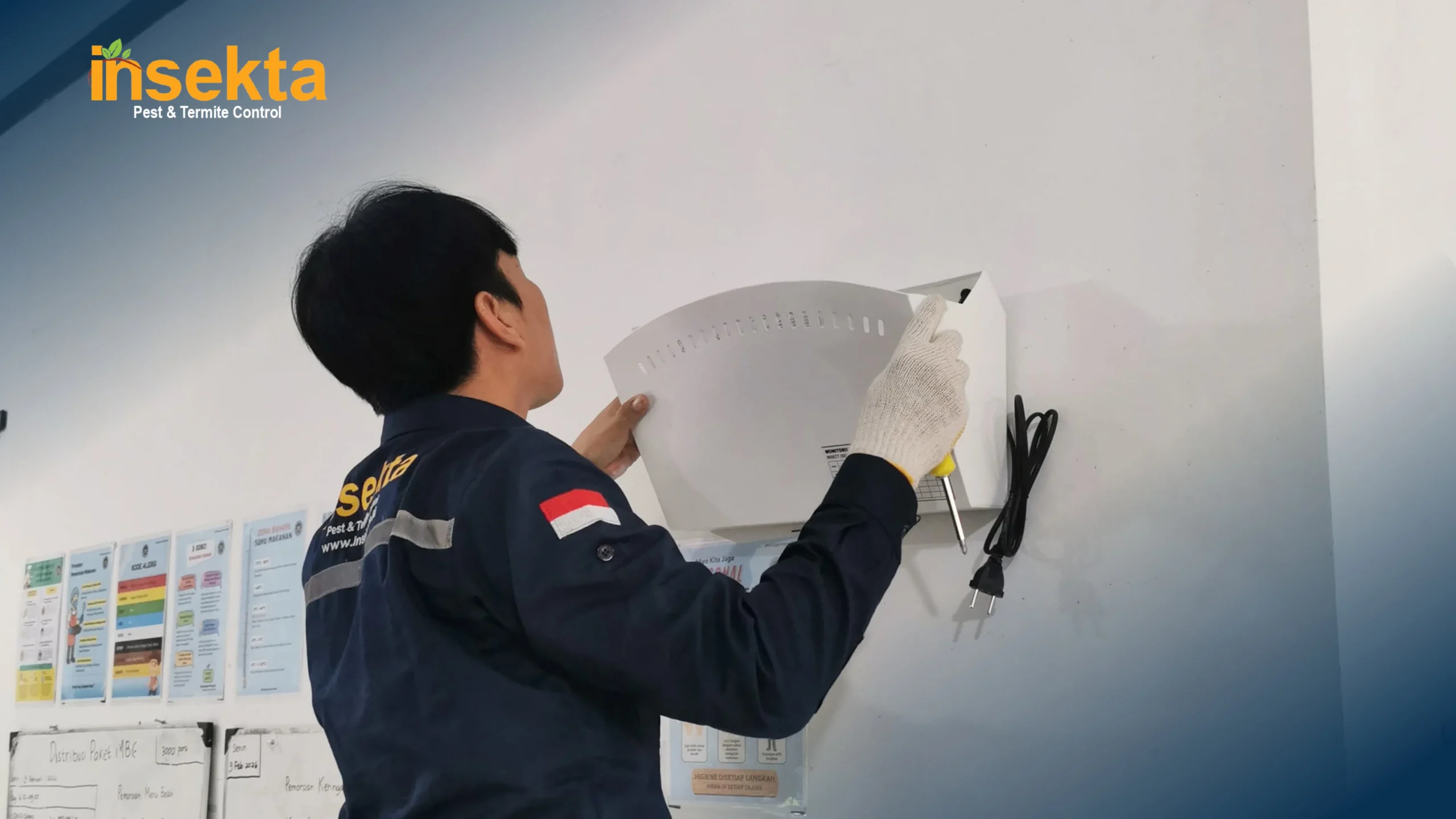 jasa pembasmi hama kantor