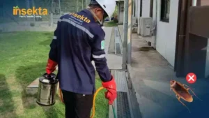 Jasa Pest Control