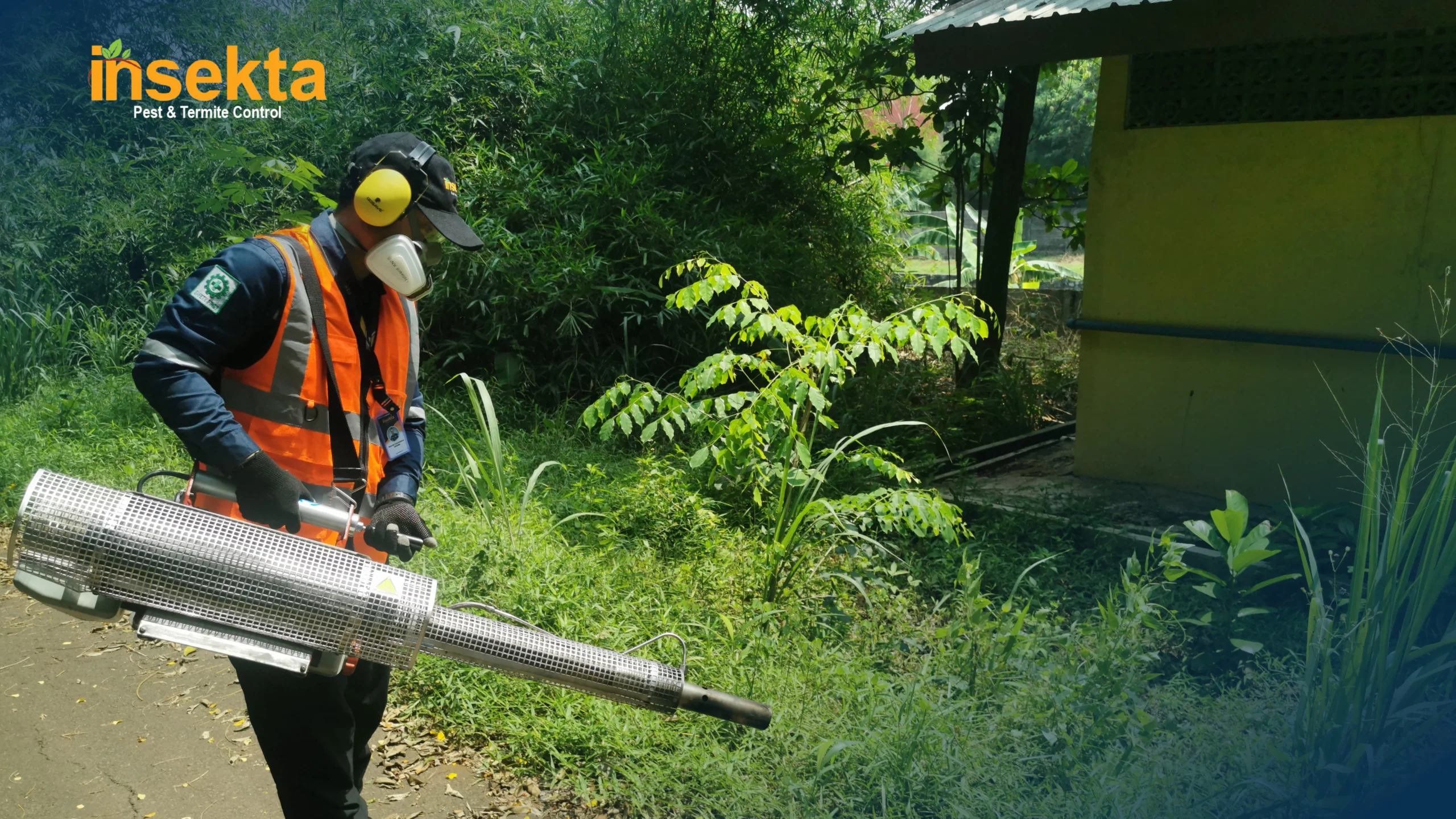 jasa pest control pik