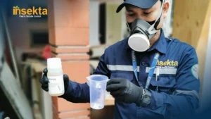 termite control