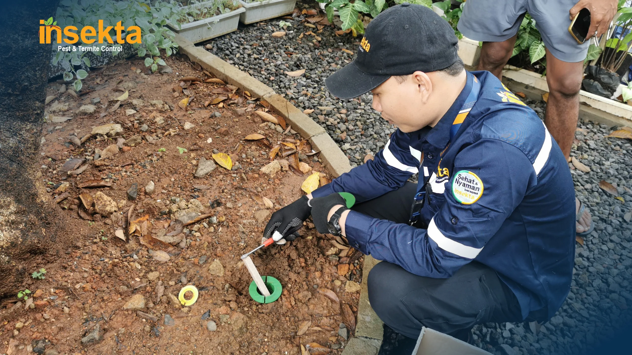 jasa pest control pik