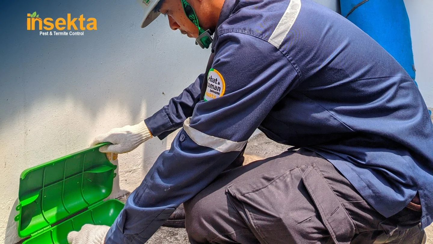 jasa pest control