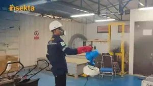 Jasa Anti Nyamuk