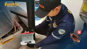 Jasa Pembasmi Hama Surabaya