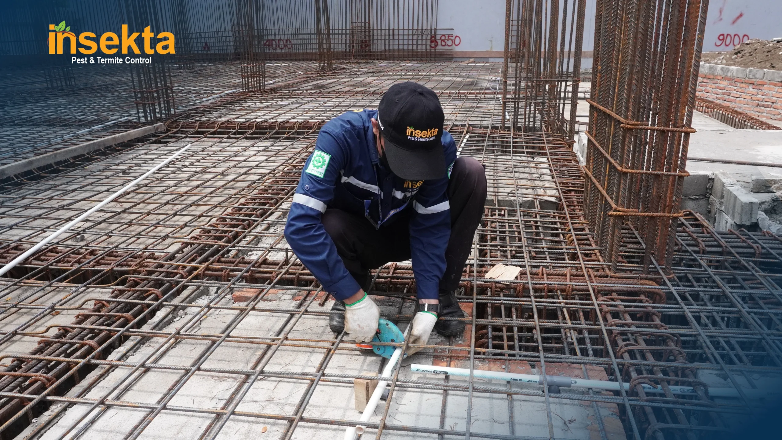 jasa pest control bekasi