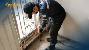 jasa pest control