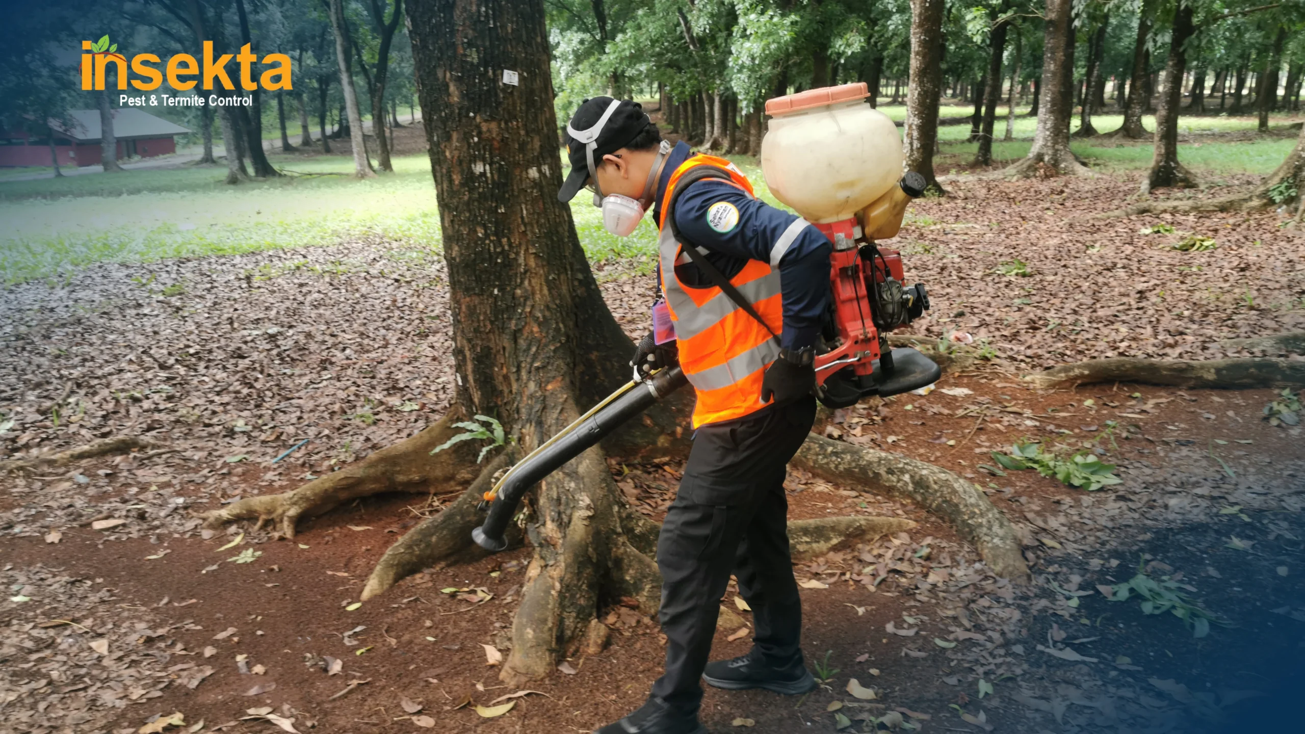 jasa pest control bekasi