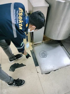 jasa pest control kapal