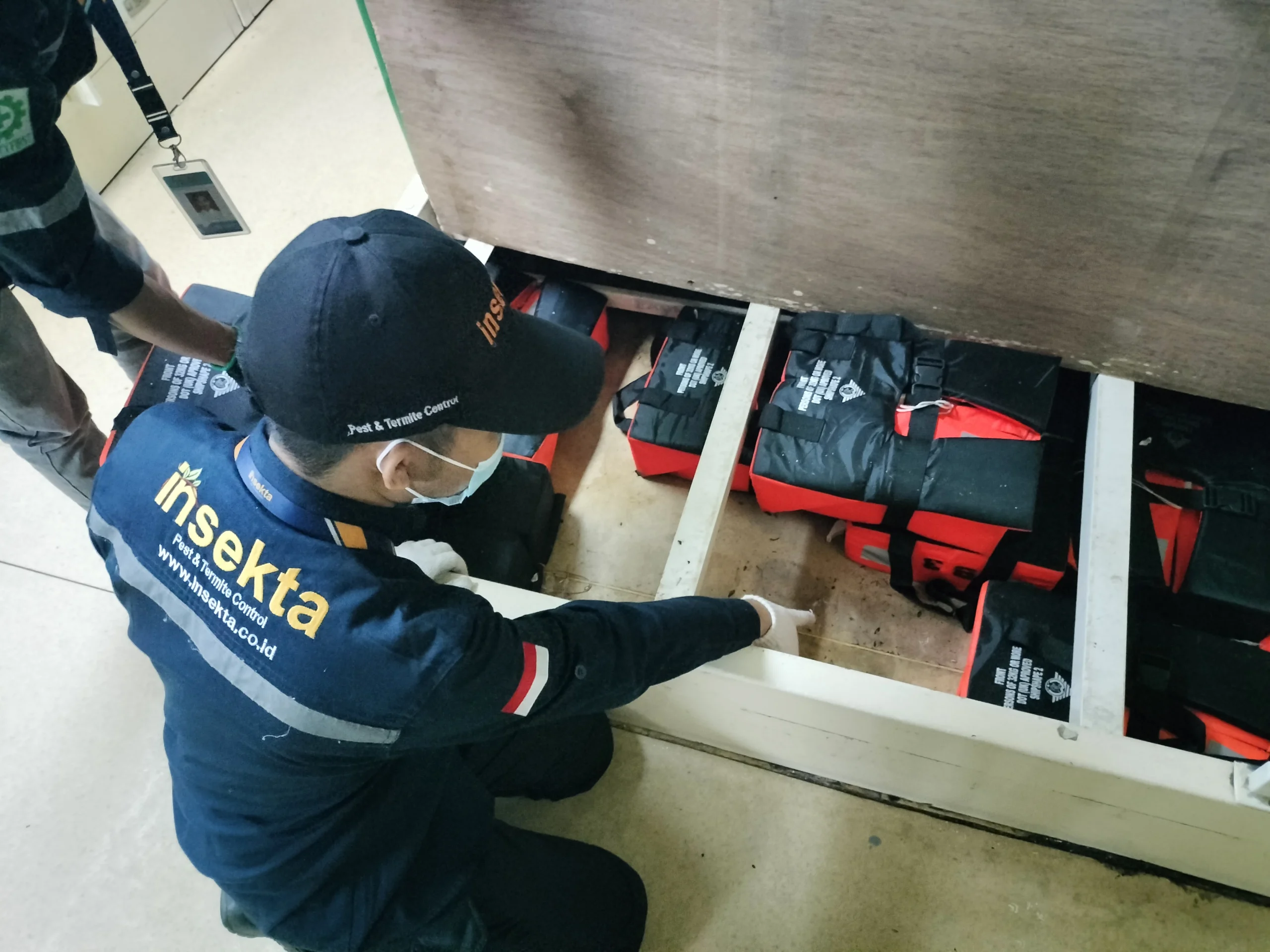 ilustrasi audit pest control