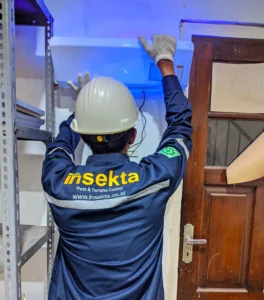 jasa basmi lalat profesional insekta