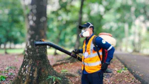 jasa pest control