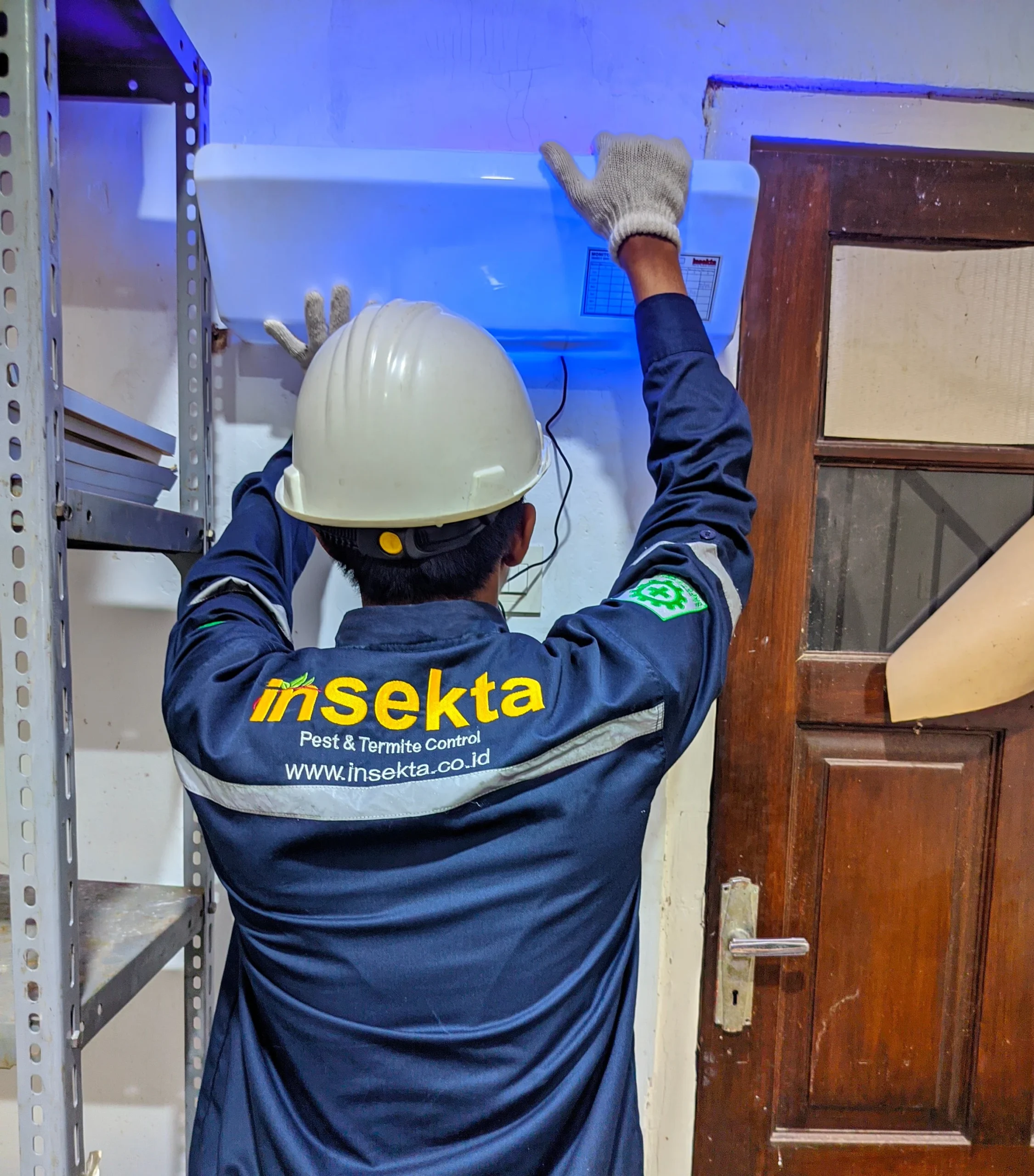 jasa basmi lalat profesional insekta